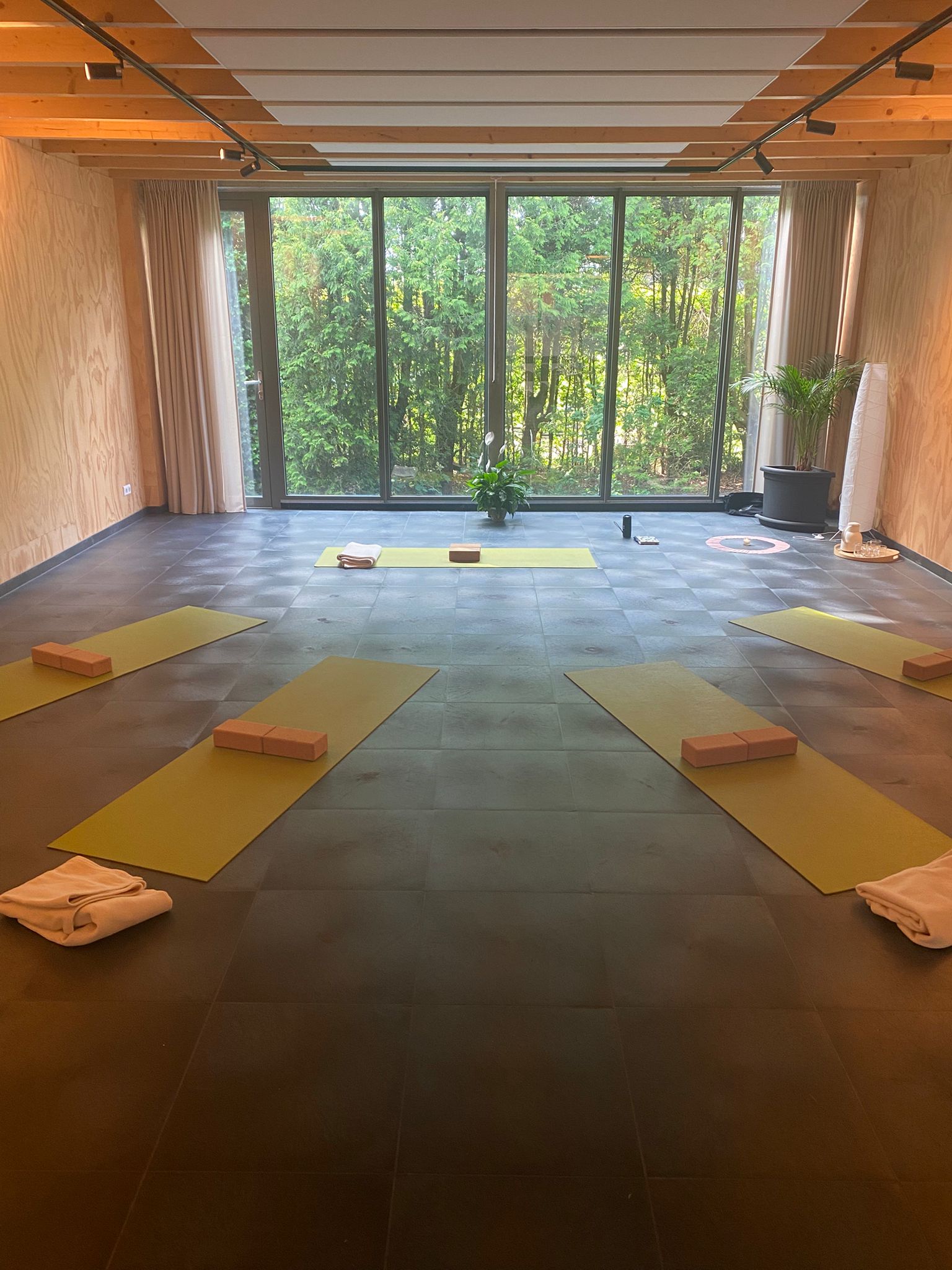 Masterclass 1e Chakra 2 Zaalyoga